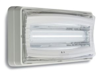 CRISTAL LED  Baes Evac Sati Led 1,5W 70lm 1h NP IP65-IK06 Batterie NiCd